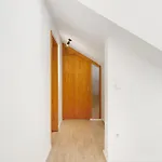 Hegauzauber