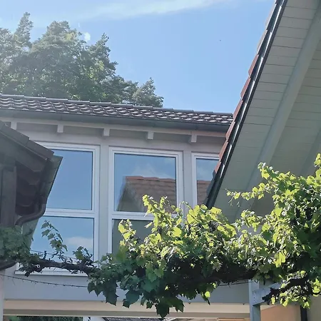 Hegauzauber * Tengen