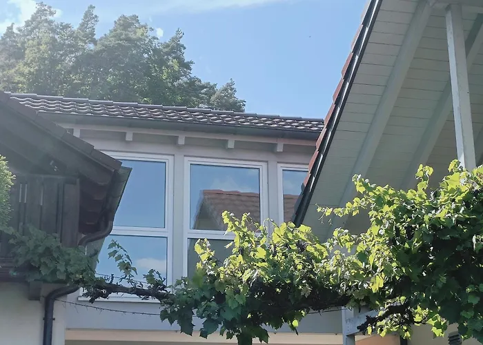 Hegauzauber * Tengen